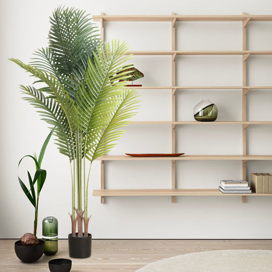 Potted plants and decorative items on a wooden shelf against a white wall.