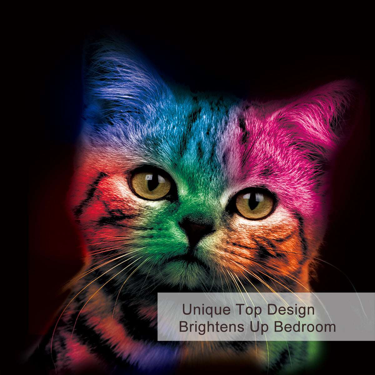 Cat Bedding For Kids Girls Boys Cute Colorful Cat Pattern Quilt Cover Bedspread 3 Piece Bold Color Black Animal Duvet Cover Set For Single Bed